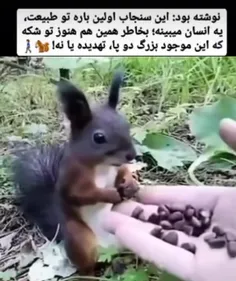 اوخی عسیسم،ترسیده طفلی 🐿