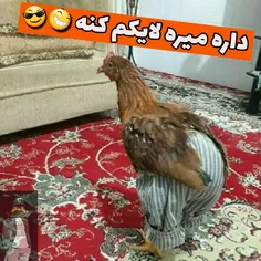 یه کم یاد بگیرید نصفِ شماس😅 😅