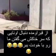 ههههه