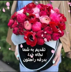 ربیع ماه ولادت خورشید بی غروب🌸 🍃 