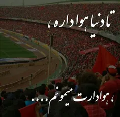 تآ اَبَد پِرسپولیسی میمونَم (((((((((((:
