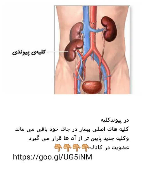 مطالب جالب و آموزنده بیشتر در کانال تلگرام زیر برای عضویت