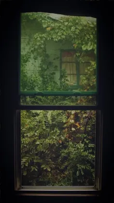 یک نفر آدمم و چند نفر غمگینم 💔