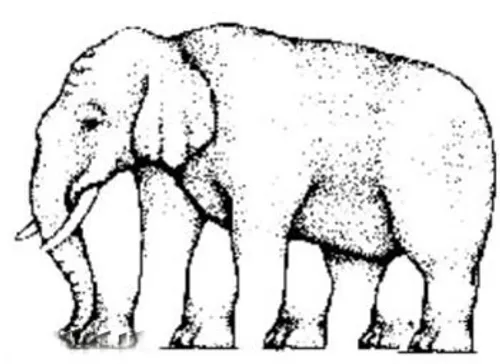 این فیل چند پا دارد؟
