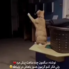 🥲
