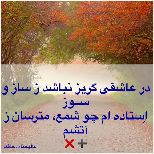 سیاست زنانه