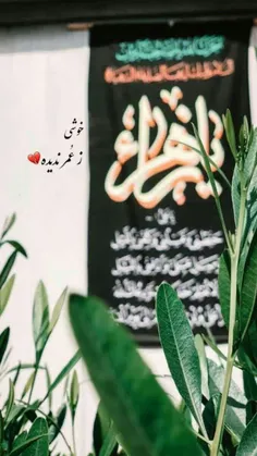 فاطمه جان