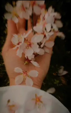 الهی که سال جدید