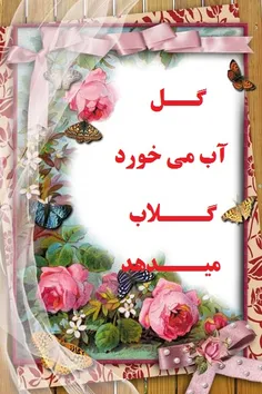 گل آب می خورد 