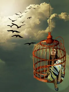 #پرنده-در-قفس-زیبا-نمیخواند