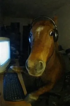 سم خونتون نیوفتهه🤣🤣
