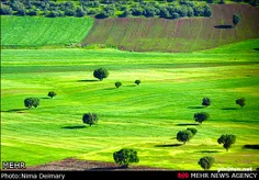 اینمممممممم زمین کشاورزی های ما