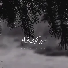 خاطره‌ هایت 