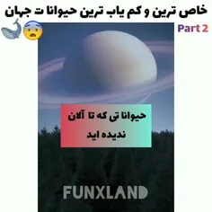 خاص ترین و کمیاب ترین حیوانات جهان 😮