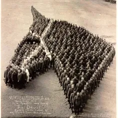 ‏۶۵۰ سرباز به شکلی ایستاده‌اند تا تصویر یک اسب را نمایان کنند. این نمایش به نشانه ادای احترام ۸ میلیون اسبی که در جنگ جهانی دوم کشته شدند صورت می گیرد. ۱۹۱۹