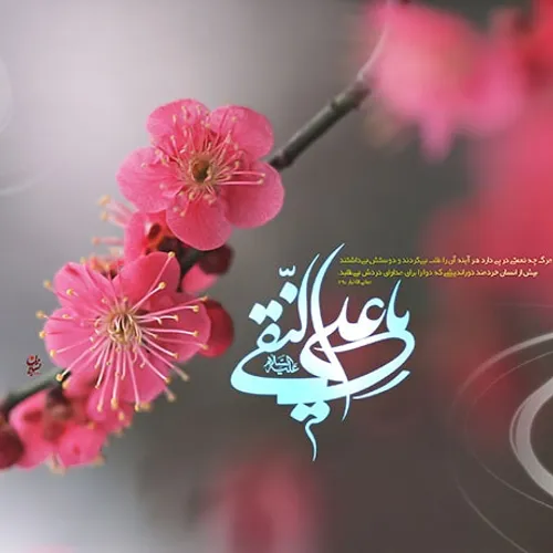 میلاد امام هادی علیه السلام.