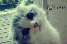 ای جان