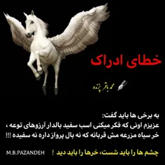 ⬛️ خطای ادراک 