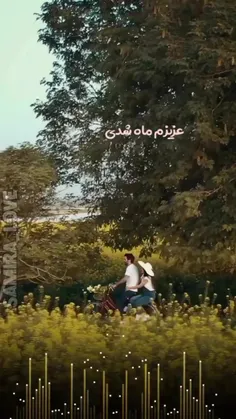 ای دل و جانم به تو مشغول !