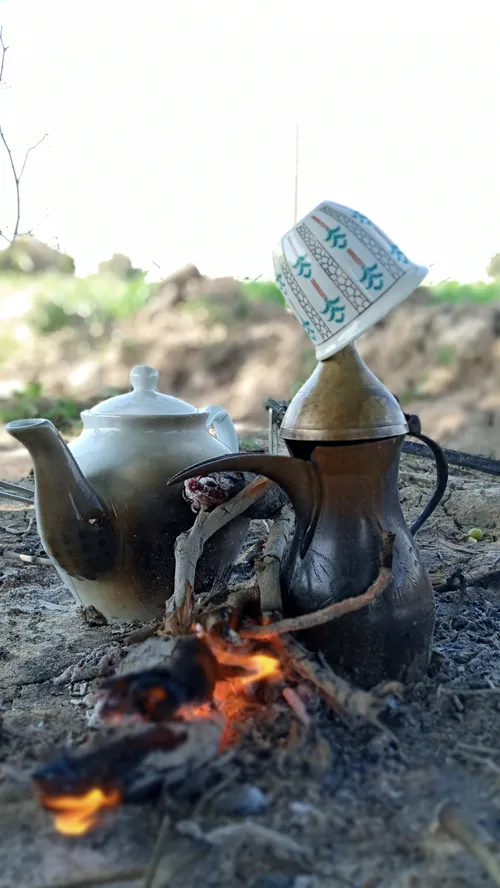 جاتون خالی ...🤩