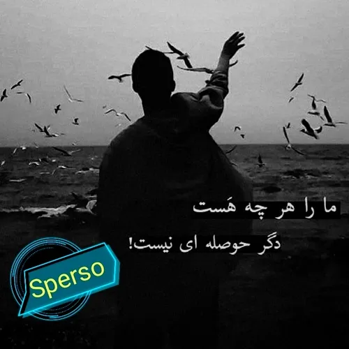 شخصی sperso 41799674 - عکس ویسگون