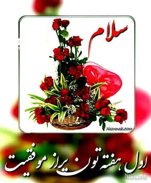  mahdi.kalaleh 35794484 - عکس ویسگون