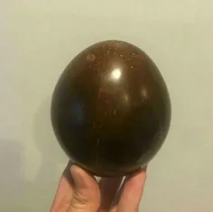 این تخم پرنده در واقع یک نارگیل صیقل خورده است !