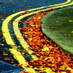 جاده به رنگ پاییز (زرد)