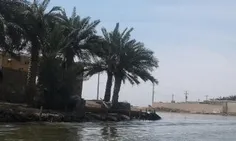 تالاب شادگان 