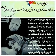 یافاطمه الزهرا.....