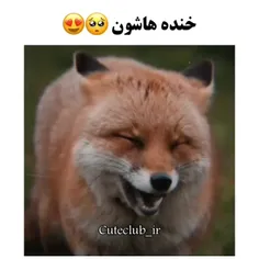 چقدر کیوتن 😍