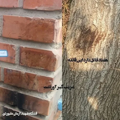 شهید آرمان علی وردی 💔