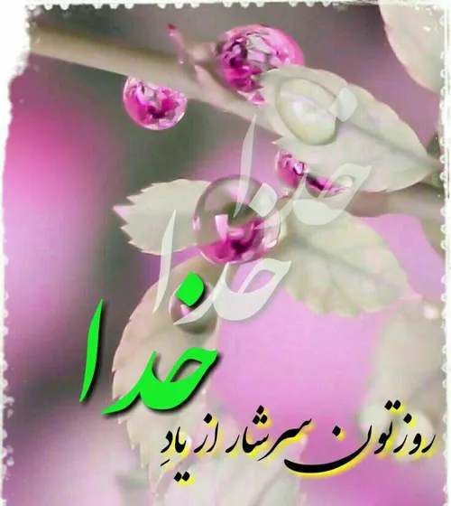 عکس نوشته adminamiri.ir 22197549 - عکس ویسگون