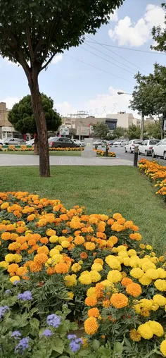 عشق به طبیعت 