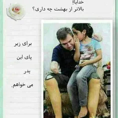 جوابی ندارم ...