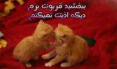 چقد نازه دوتاعشق قربون صدقه هم!!