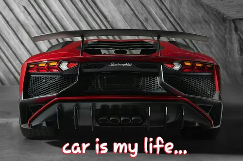 car is my life