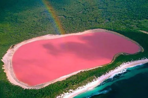 جزیره ی هیلیر دریاچه ای صورتی رنگ که در استرالیای غربی وا