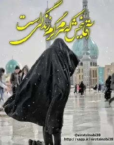 🕊 🌷 السلام علیک یا صاحب العصر والزمان