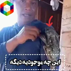 این چه موجودیه دیگه!؟! 😱