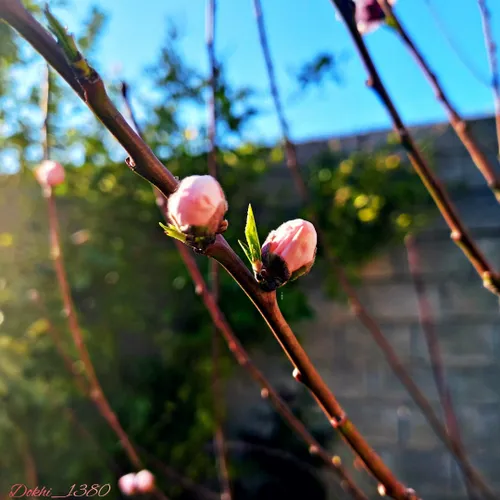 ای سازنده ی هر ساخته