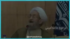 🔹آیت الله بروجردی فرمودند:«حاضرم ده تا #علامه_امینی فدا ک