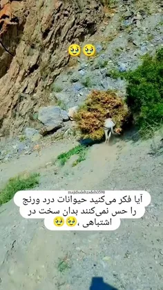 انسانیت،، 