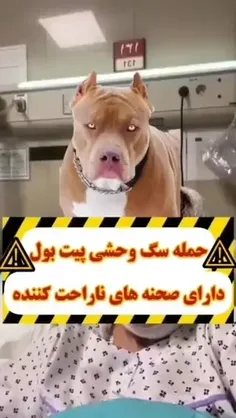 ⚠️ هشدار، تصاویر ممکن است ناراحت‌کننده باشد.