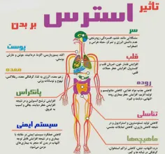 استرس با بدن ما چه میکند #بخون