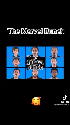 The marvel bunch😂
