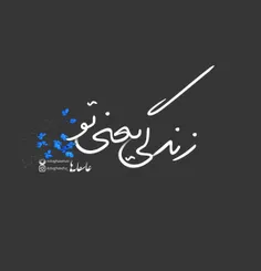 عکس نوشته maryam7171 18289089