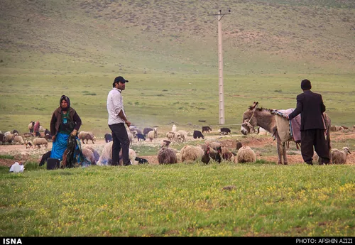 کوچ بهاره ایل قشقایی