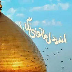 #ولادت