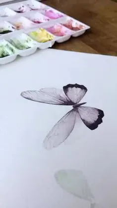 پروانه